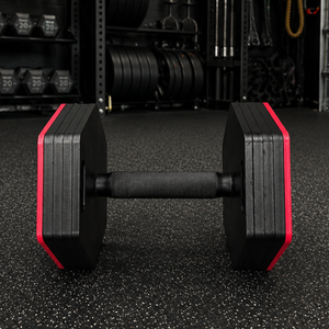 Delta Adjustable Dumbbells